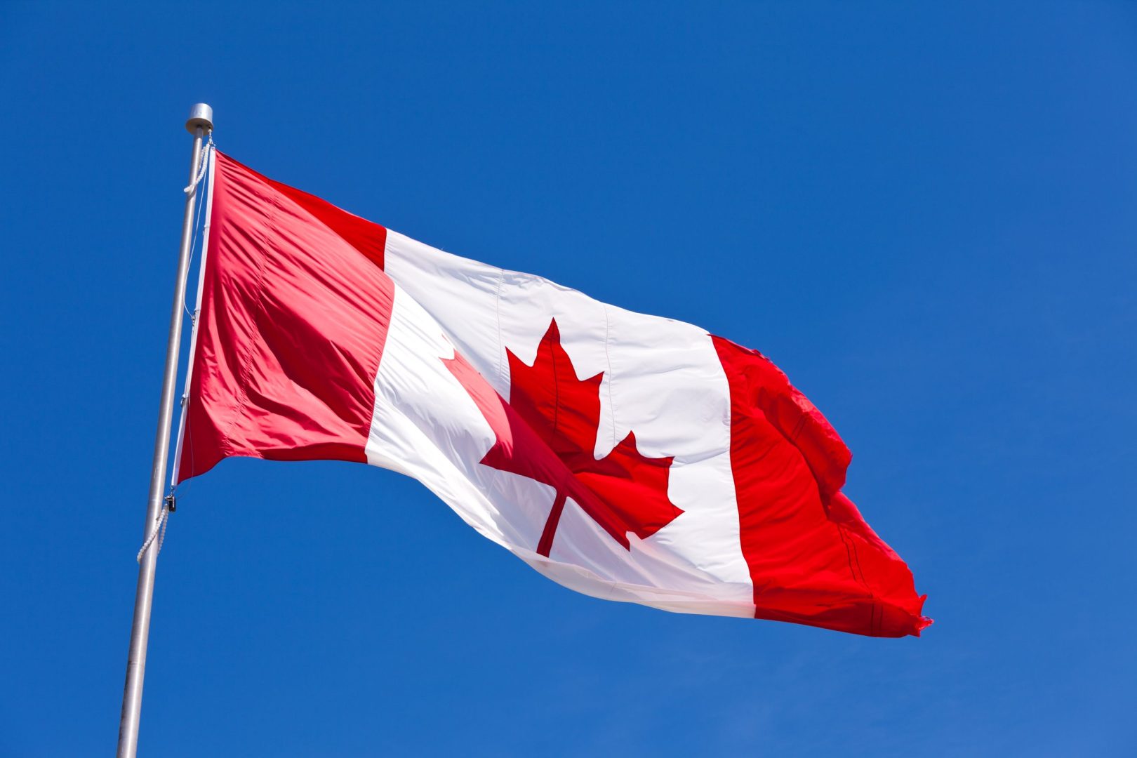Canada Flag Maple Leaf Flies in Light Wind
